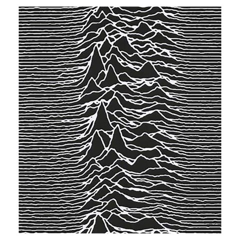 Joy Division Unknown Pleasures Pattern Drawstring Pouch (Medium) from ArtsNow.com Front