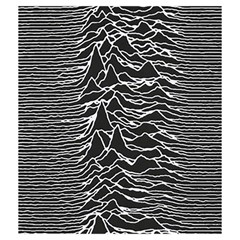Joy Division Unknown Pleasures Pattern Drawstring Pouch (Medium) from ArtsNow.com Back