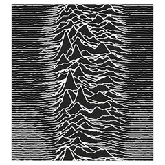 Joy Division Unknown Pleasures Pattern Drawstring Pouch (Large) from ArtsNow.com Back