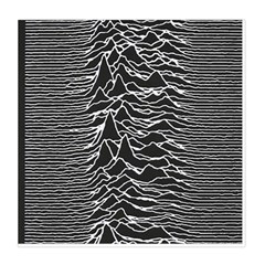 Joy Division Unknown Pleasures Pattern Duvet Cover Double Side (Queen Size) from ArtsNow.com Front