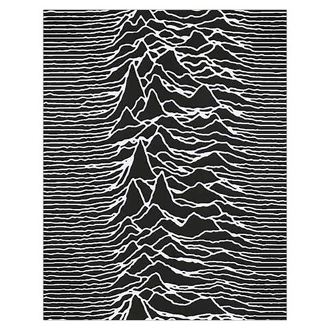 Joy Division Unknown Pleasures Pattern Toiletries Pouch from ArtsNow.com Back
