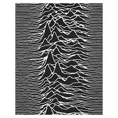 Joy Division Unknown Pleasures Pattern Toiletries Pouch from ArtsNow.com Back
