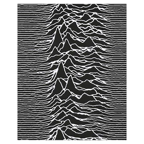 Joy Division Unknown Pleasures Pattern Drawstring Pouch (XL) from ArtsNow.com Front