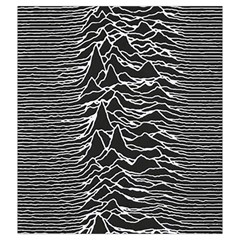 Joy Division Unknown Pleasures Pattern Drawstring Pouch (2XL) from ArtsNow.com Back