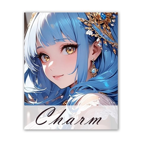 charm Poster 16  x 20  from ArtsNow.com Front