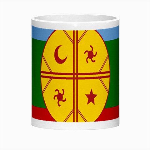 Flag Of The Mapuches Morph Mug from ArtsNow.com Center