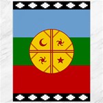 Flag Of The Mapuches Canvas 12  x 16 