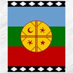 Flag Of The Mapuches Canvas 16  x 20 
