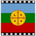 Flag Of The Mapuches Canvas 20  x 20 
