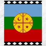 Flag Of The Mapuches Canvas 20  x 24 
