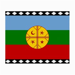 Flag Of The Mapuches Small Glasses Cloth (2 Sides) from ArtsNow.com Back