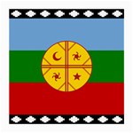 Flag Of The Mapuches Medium Glasses Cloth