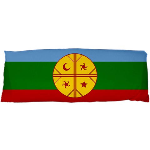 Flag Of The Mapuches 25 x67  Body Pillow Case Dakimakura (Two Sides) from ArtsNow.com Front