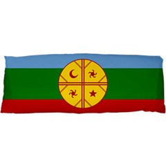 Flag Of The Mapuches 25 x67  Body Pillow Case Dakimakura (Two Sides) from ArtsNow.com Front