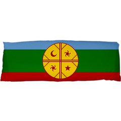 Flag Of The Mapuches 25 x71  Body Pillow Case Dakimakura (Two Sides) from ArtsNow.com Front