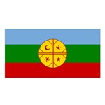 Flag Of The Mapuches Satin Shawl 45  x 80 