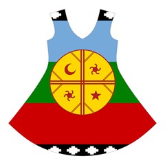 Flag Of The Mapuches Short Sleeve V Front