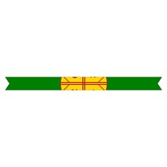 Flag Of The Mapuches Short Sleeve V Hem