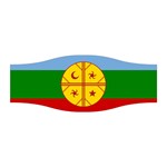 Flag Of The Mapuches Stretchable Headband