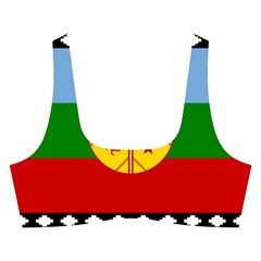 Flag Of The Mapuches Cross Back Hipster Bikini Set from ArtsNow.com Front
