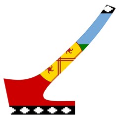 Flag Of The Mapuches Cross Back Hipster Bikini Set from ArtsNow.com Back Left