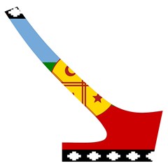 Flag Of The Mapuches Cross Back Hipster Bikini Set from ArtsNow.com Back Right