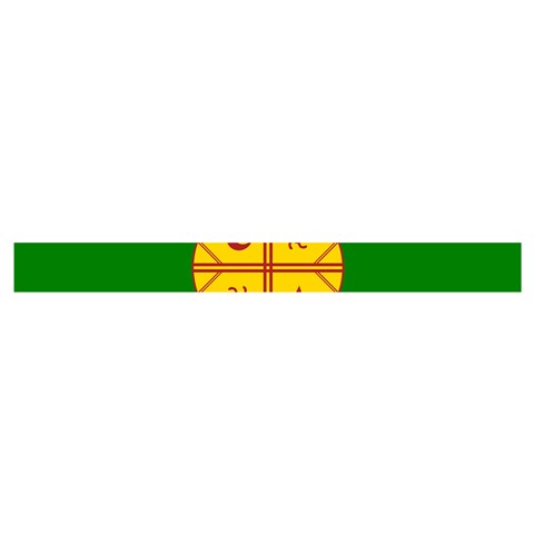 Flag Of The Mapuches Cross Back Hipster Bikini Set from ArtsNow.com Waistband