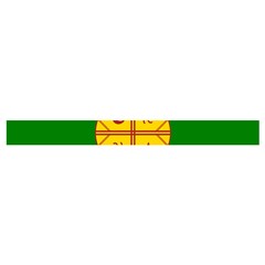 Flag Of The Mapuches Cross Back Hipster Bikini Set from ArtsNow.com Waistband