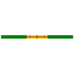 Flag Of The Mapuches Cross Back Hipster Bikini Set from ArtsNow.com Strap