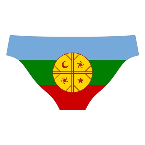 Flag Of The Mapuches Cross Back Hipster Bikini Set from ArtsNow.com Back Under