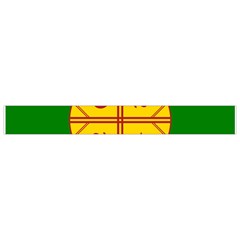 Flag Of The Mapuches Kids  Hooded Rain Ponchos from ArtsNow.com Strap