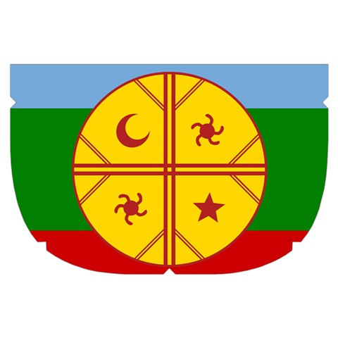 Flag Of The Mapuches Make Up Case (Small) from ArtsNow.com Side Right