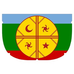Flag Of The Mapuches Make Up Case (Small) from ArtsNow.com Side Right