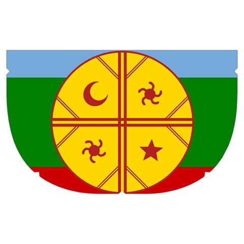 Flag Of The Mapuches Make Up Case (Medium) from ArtsNow.com Side Right