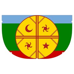 Flag Of The Mapuches Make Up Case (Medium) from ArtsNow.com Side Right