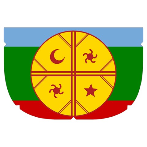 Flag Of The Mapuches Make Up Case (Large) from ArtsNow.com Side Right