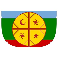 Flag Of The Mapuches Make Up Case (Large) from ArtsNow.com Side Right