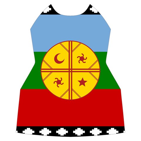 Flag Of The Mapuches Women s Long Sleeve Raglan T Front