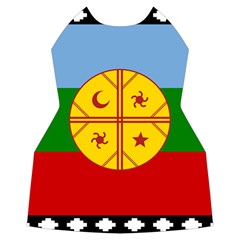 Flag Of The Mapuches Women s Long Sleeve Raglan T Front