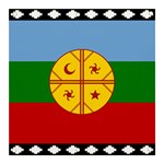Flag Of The Mapuches Banner and Sign 3  x 3 