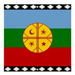 Flag Of The Mapuches Banner and Sign 4  x 4 