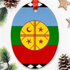 Flag Of The Mapuches Svg Oval Ornament (Two Sides) from ArtsNow.com Front