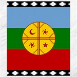 Flag Of The Mapuches Svg Canvas 8  x 10 
