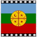 Flag Of The Mapuches Svg Canvas 16  x 16 