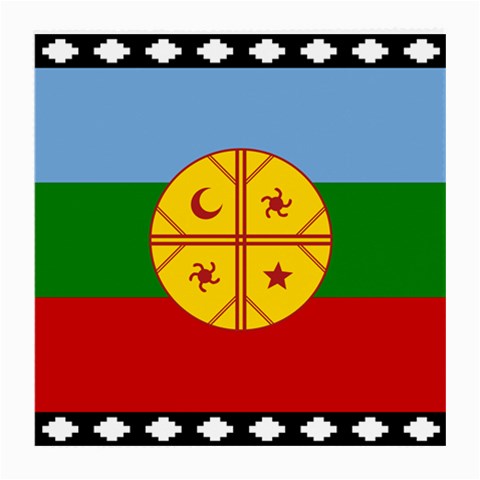 Flag Of The Mapuches Svg Medium Glasses Cloth from ArtsNow.com Front