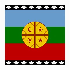 Flag Of The Mapuches Svg Medium Glasses Cloth (2 Sides) from ArtsNow.com Back