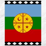 Flag Of The Mapuches Svg Canvas 11  x 14 