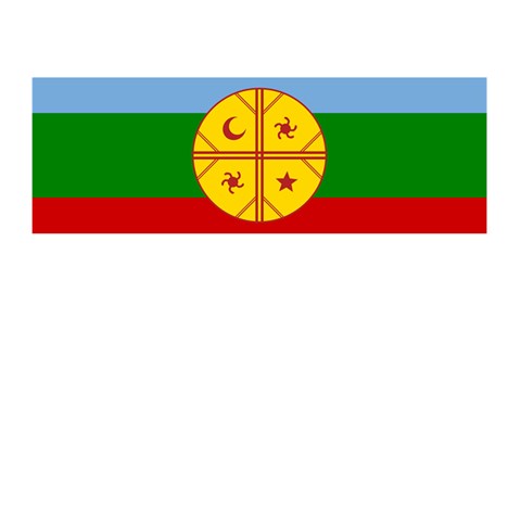 Flag Of The Mapuches Svg Memory Card Reader (Stick) from ArtsNow.com Front