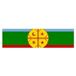 Flag Of The Mapuches Svg Oblong Satin Scarf (16  x 60 )