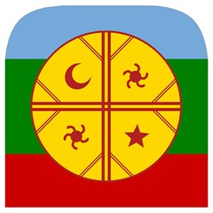 Flag Of The Mapuches Svg Toiletries Pouch from ArtsNow.com Cover